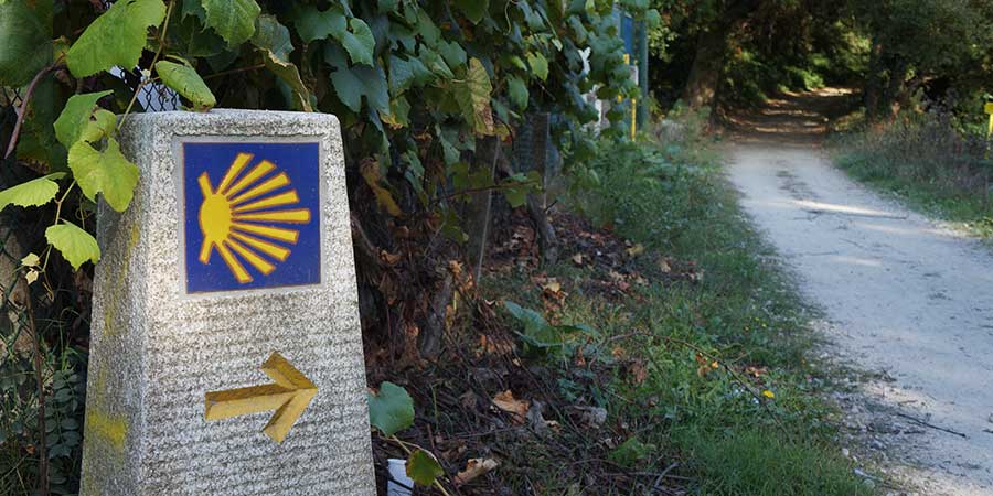 technology-free-camino-follow-the-signs