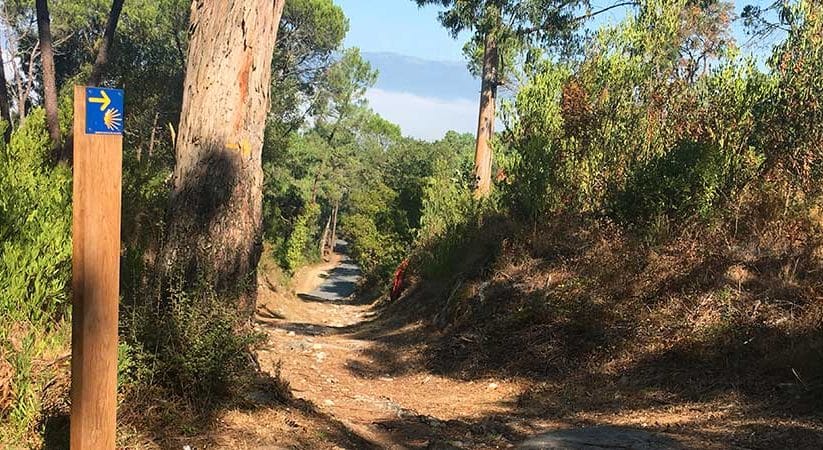 Camino Portugués Coastal: From Porto to Baiona