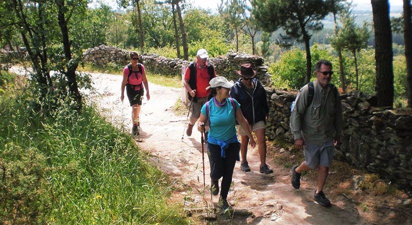 Camino Frances Last 100km Guided Tour from Sarria to Santiago