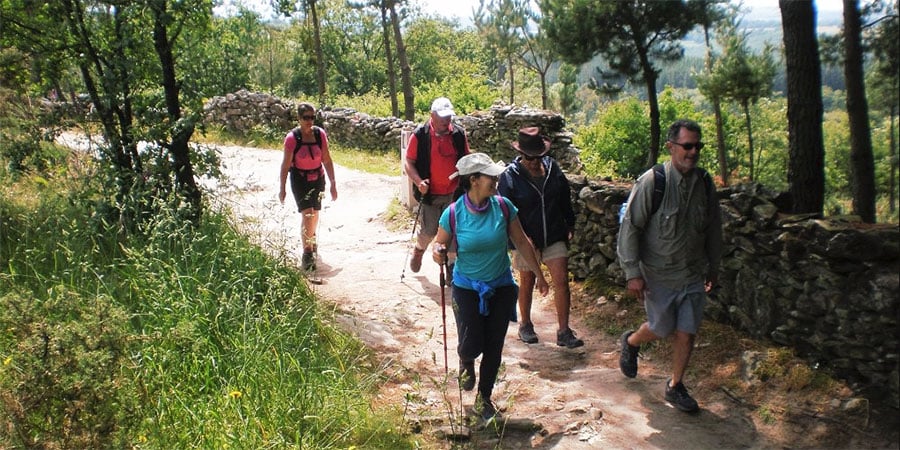 Camino Frances Last 100km Guided Tour from Sarria to Santiago
