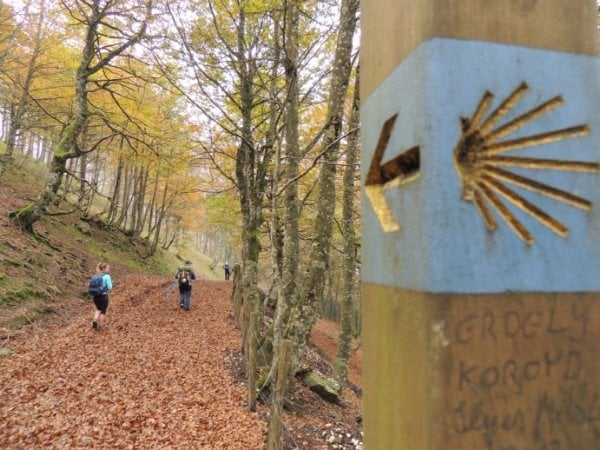 Camino from Saint-Jean-Pied-de-Port to Pamplona 4 days