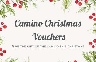 Camino Christmas Vouchers