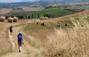 Via Francigena in Tuscany