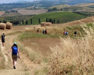 The Ultimate Guide To Choosing Your Perfect Camino