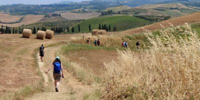 The Ultimate Guide To Choosing Your Perfect Camino