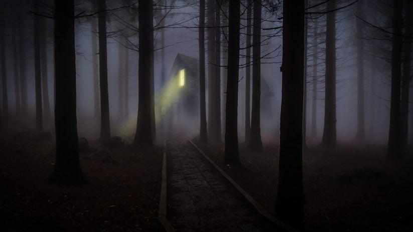 foggy, mist, forest-545838.jpg