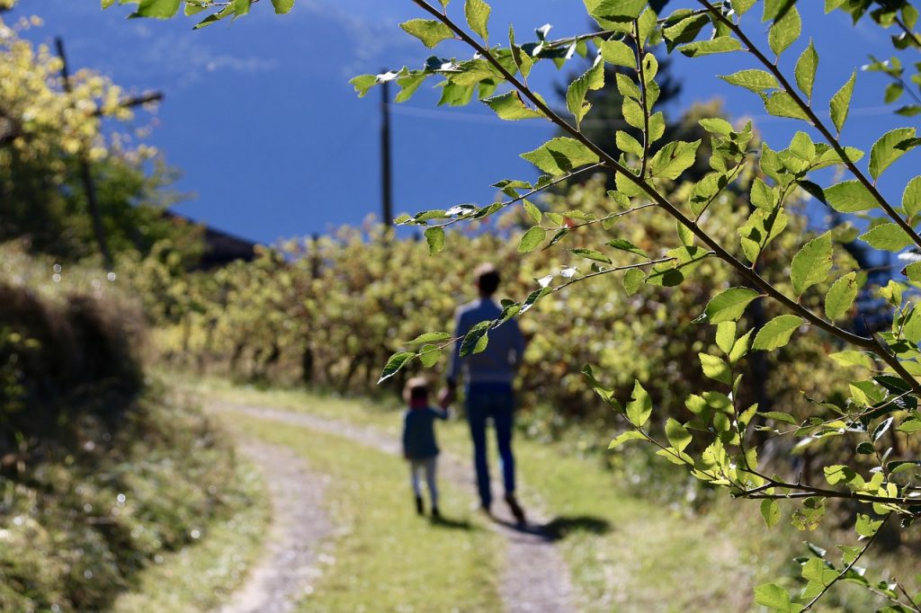 fall, walk, south-tirol-2854074.jpg