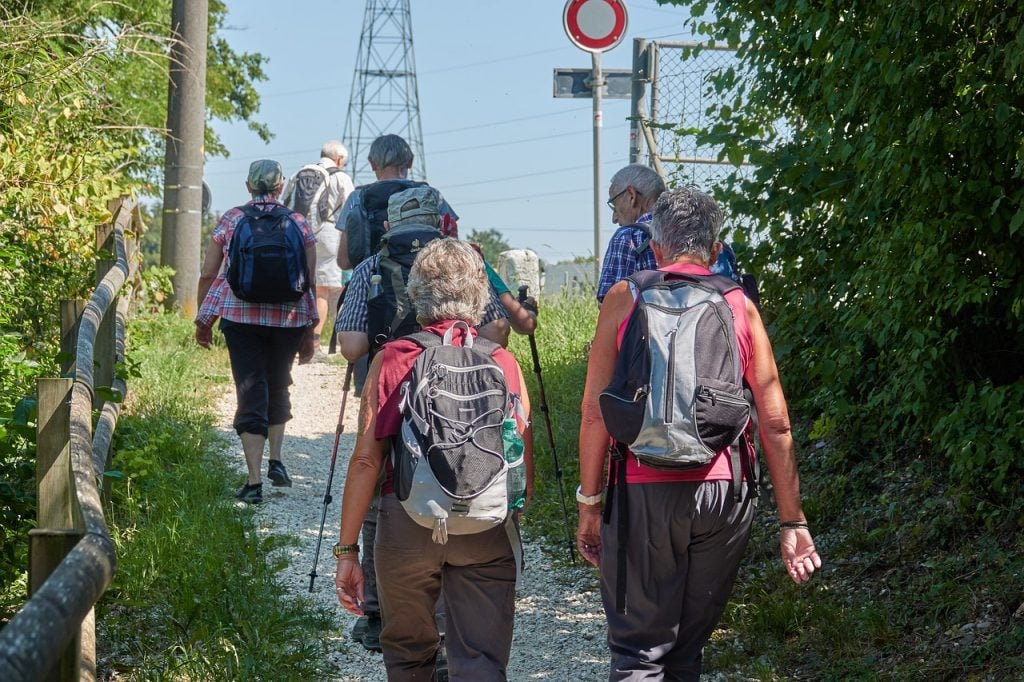Group on the Camino - Guided Tours for 2022