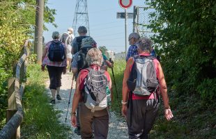 Group on the Camino