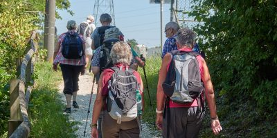 Group on the Camino