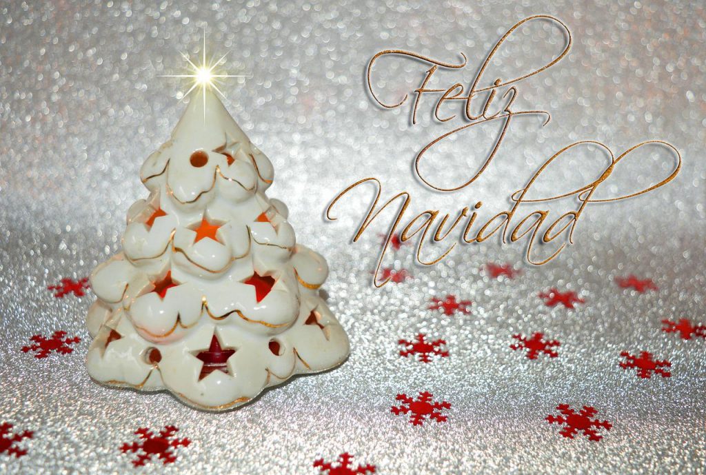 Feliz Navidad, Merry Christmas from CaminoWays.com