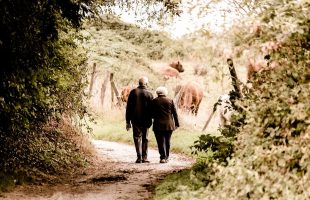 Couple walking on the Camino