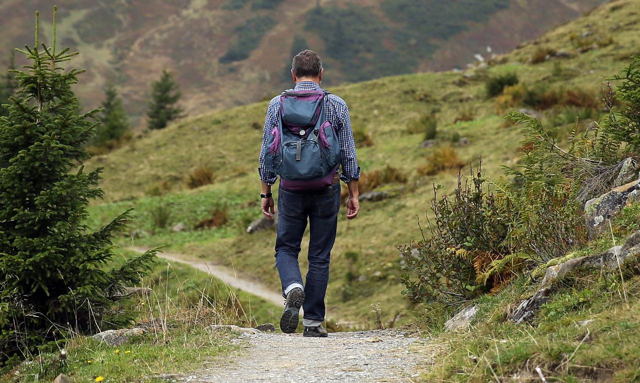 Walking on the Camino