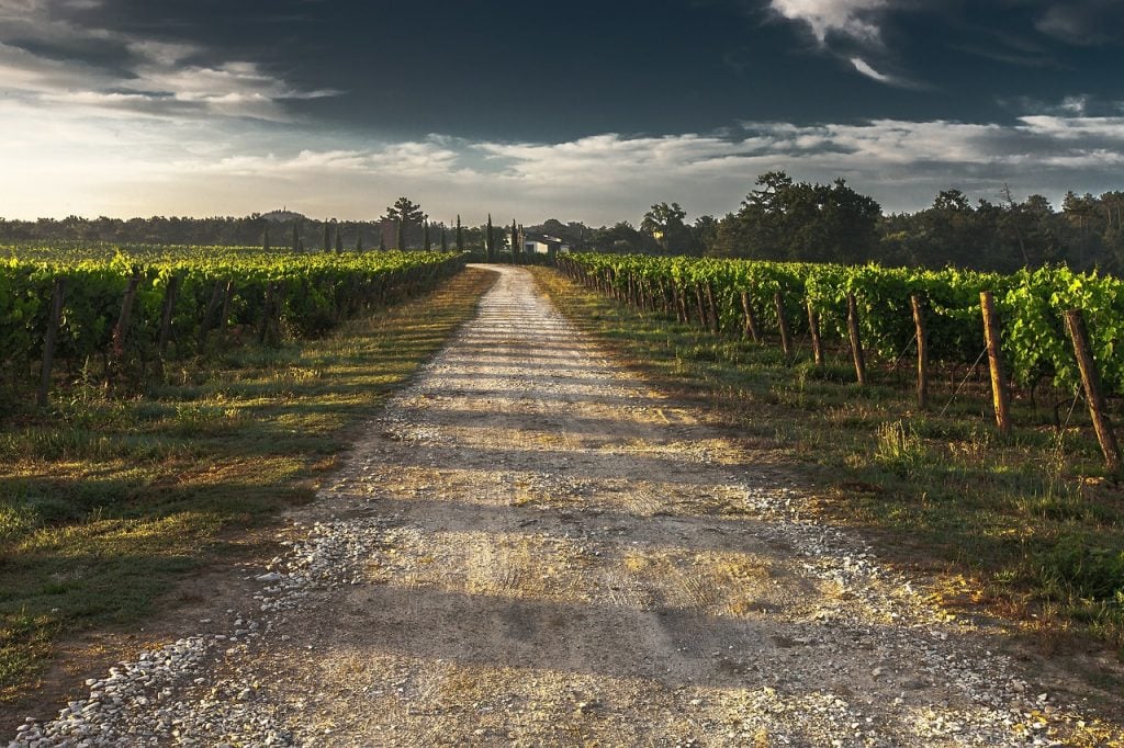 Path through the countryside