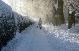 A sunny winter walk