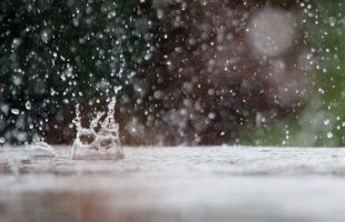 waterdrop, rain, table-909130.jpg