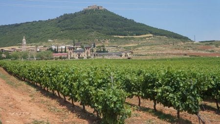 El Camino desde Pamplona a Logrono 1 semana