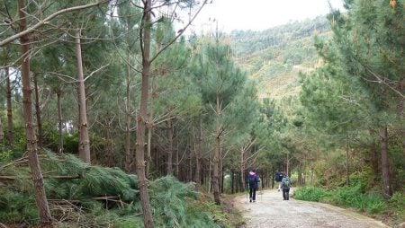 El Camino a Fisterra y Muxia