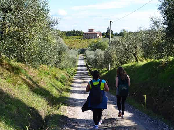 Via Francigena en Toscana a tu Ritmo