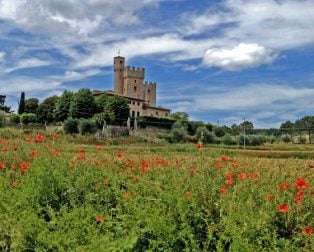 tuscany rose castle