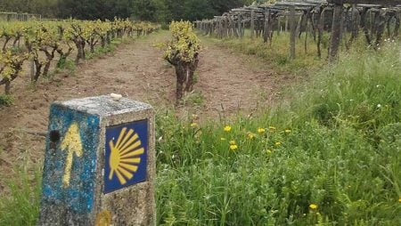 El Camino Portugués de Lisboa a Santiago