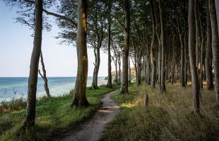A less travelled path on the Camino