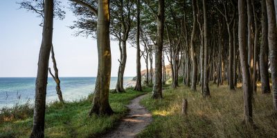 A less travelled path on the Camino