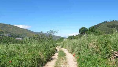 El Camino de Invierno desde Monforte, Ultimos 100km