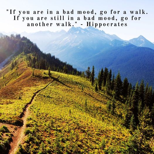 Wise words from Hippocrates and the perfect quote for our Camino Quotes list