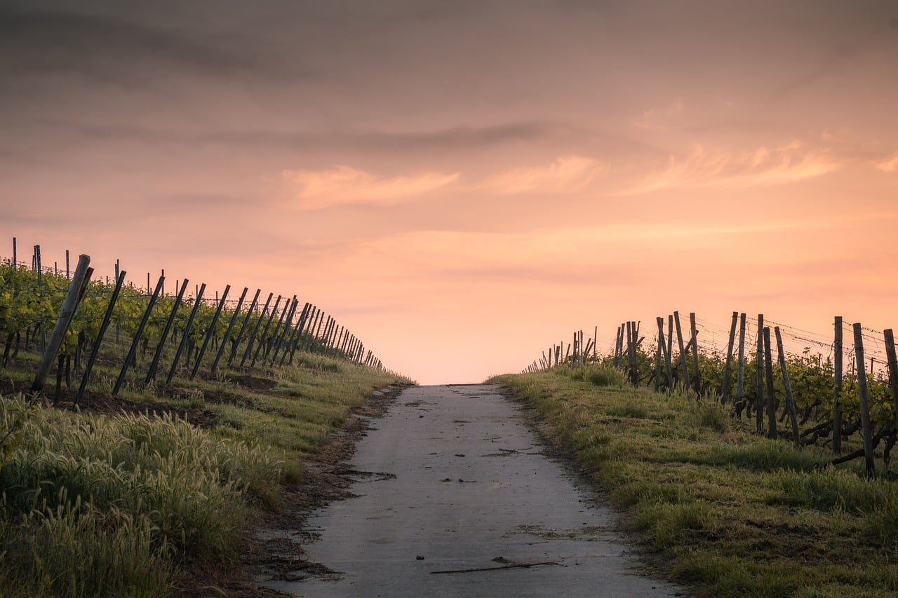 Walking the route results in an Epic Camino Story