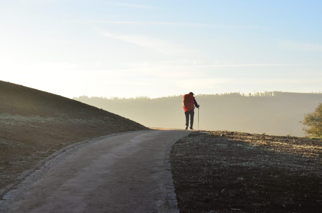 Camino Walking Jorge Luis Ojeda Flota