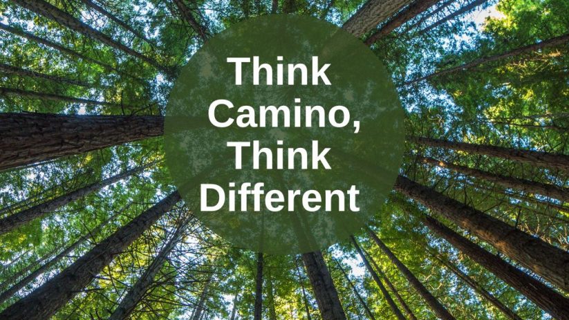 Think Camino, Think Different
