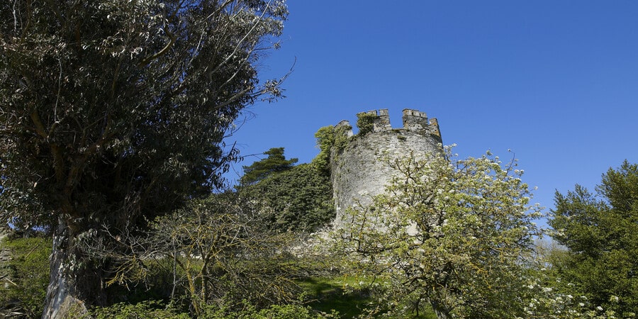 The Medieval Fortress of Sarria