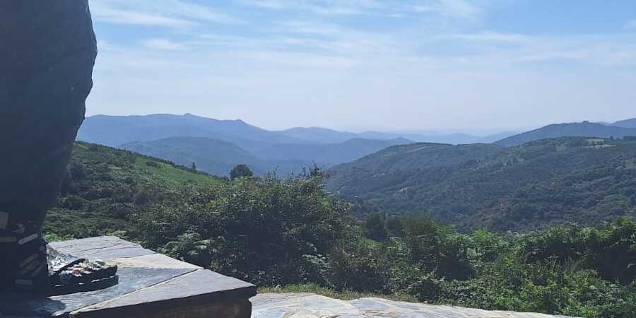 Camino Francés view