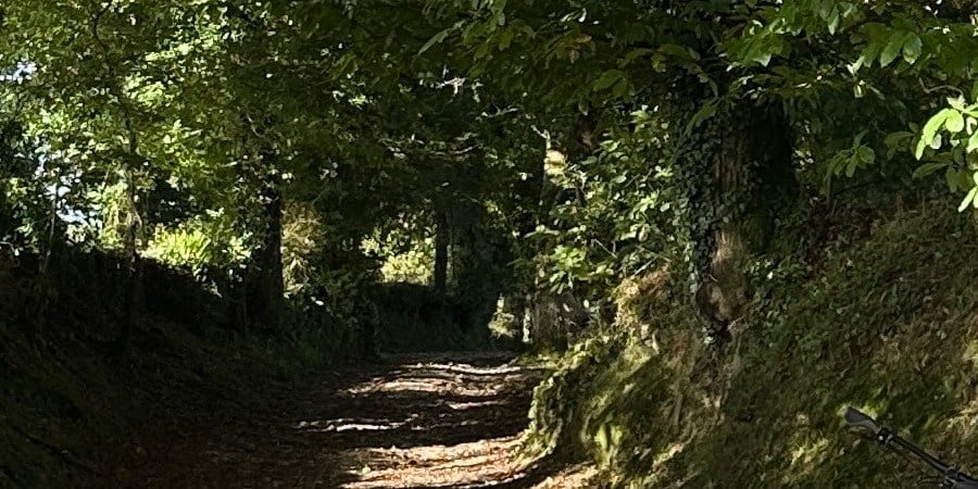 Sarria, Camino Francés