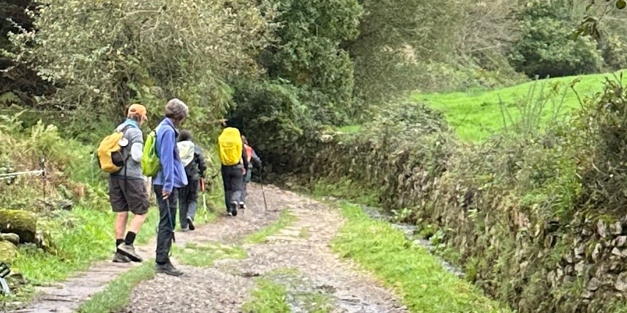 Pilgrims, Camino Francés