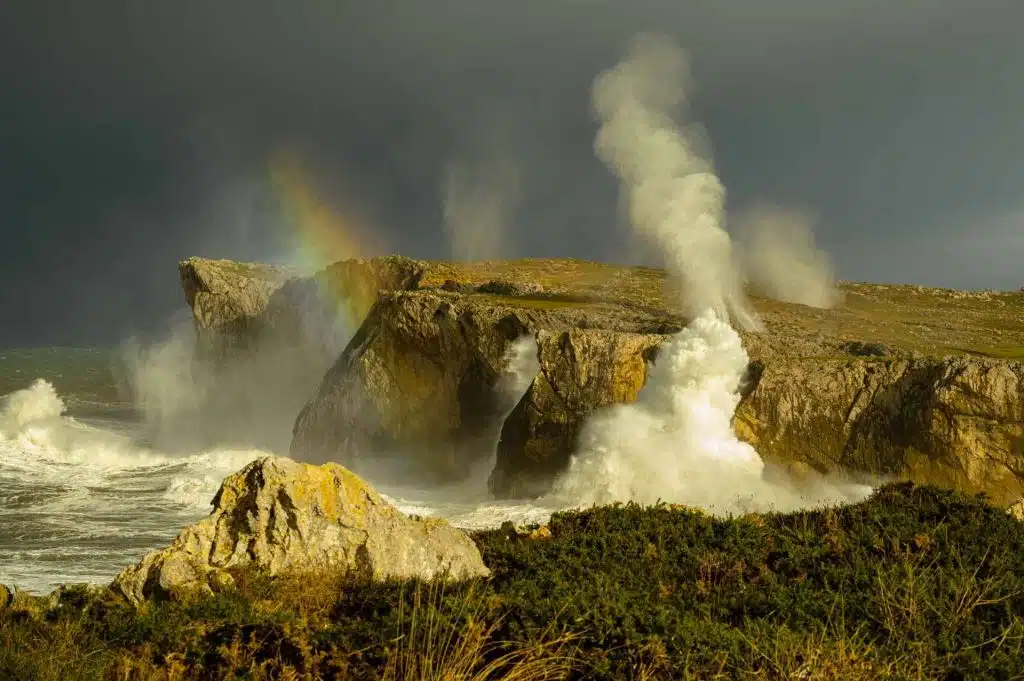 Bufones de Arenillas