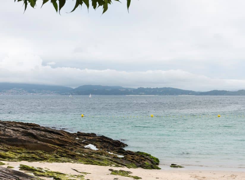 Rías Baixas Wine and Culture Tour