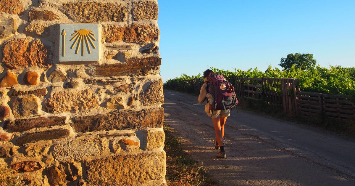 Pilgrim walking the Camino de Santiago in summer, passing a scallop shell waymarker through vineyard countryside