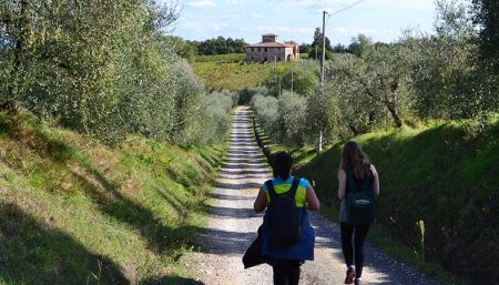 0a19dbff-aoife-walking-via-francigena-ways