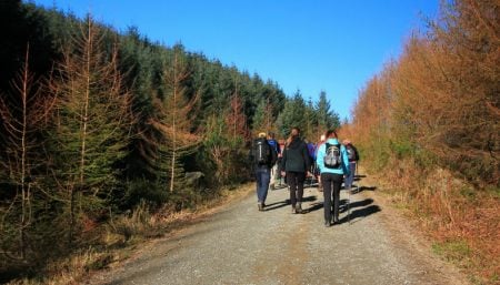 wicklow-preparation-walk-training-ireland-ways