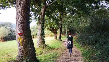 solo travel
