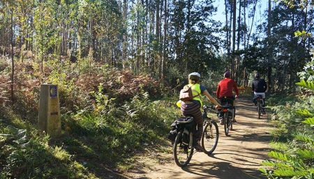 4a3dea7a-camino-de-santiago-cycling-bike-caminoways