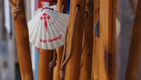 Traditional Scallop Shell on the Camino