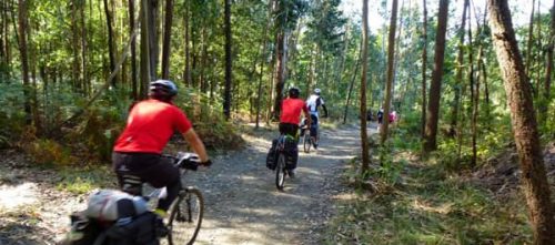 99be00a4-bike-min