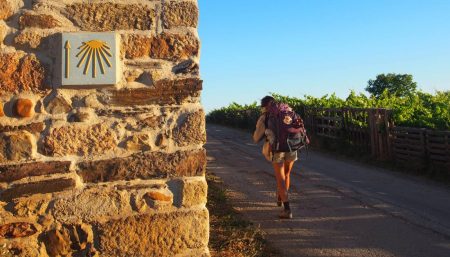 Pilgrim walking the Camino de Santiago in summer, passing a scallop shell waymarker through vineyard countryside