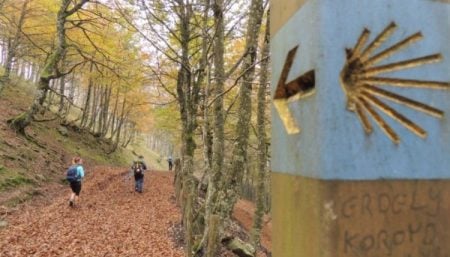 Scallop shell on the Camino