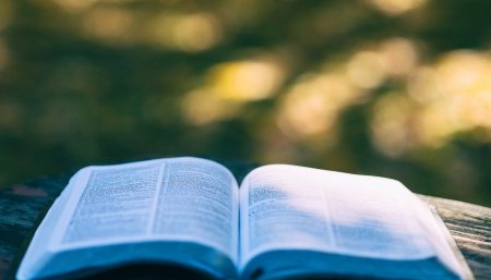 Book about the Camino