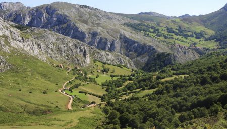 Landscape of the Camino - April Webinar