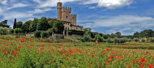 tuscany rose castle
